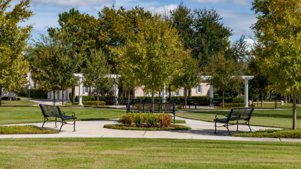 EndersPlaceatBaldwinPark_LuxuryApartmentCommunity_Lawn_OrlandoFL